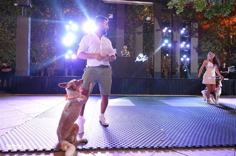 על אהבות וזנבות: חתונה מנביחה ראשונה 5