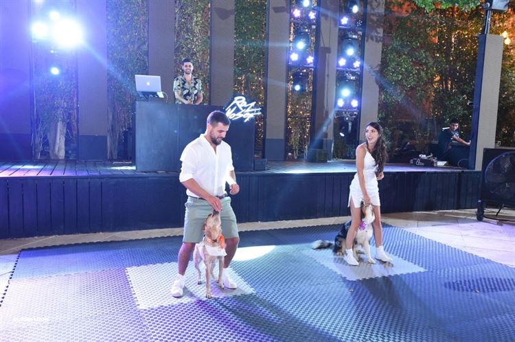 על אהבות וזנבות: חתונה מנביחה ראשונה 22