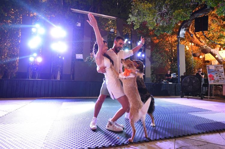 על אהבות וזנבות: חתונה מנביחה ראשונה 23