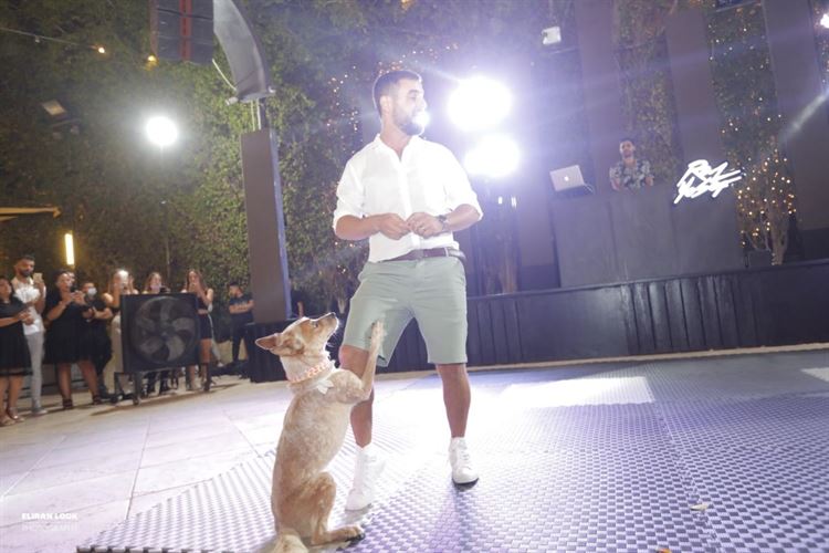 על אהבות וזנבות: חתונה מנביחה ראשונה 30