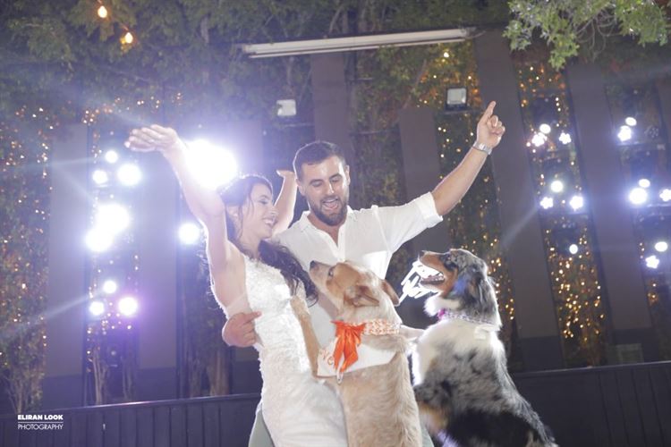 על אהבות וזנבות: חתונה מנביחה ראשונה 31