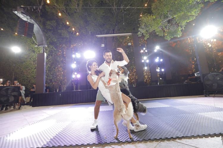 על אהבות וזנבות: חתונה מנביחה ראשונה 33