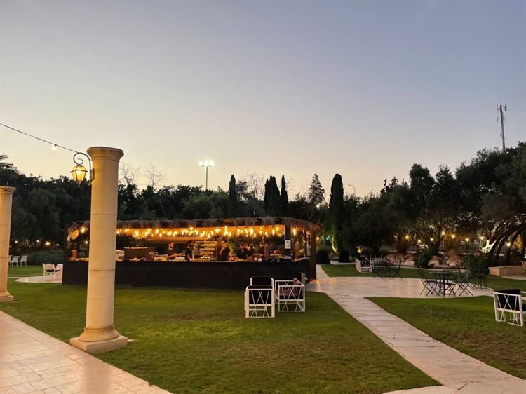 (צילום: וואלה! מזל טוב)