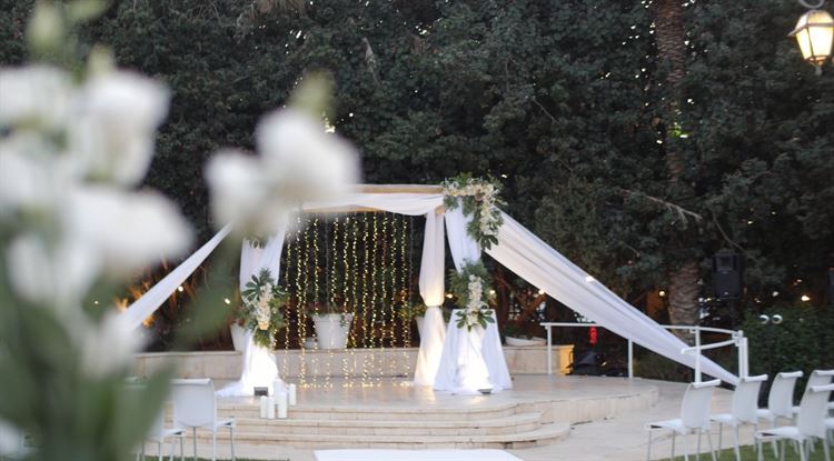 (צילום: וואלה! מזל טוב)