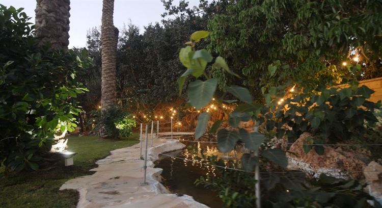 (צילום: וואלה! מזל טוב)