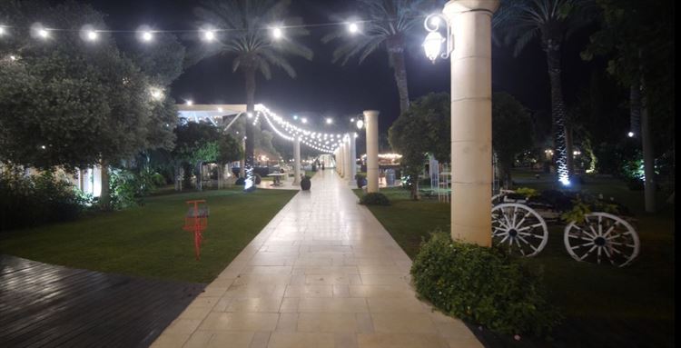 (צילום: וואלה! מזל טוב)