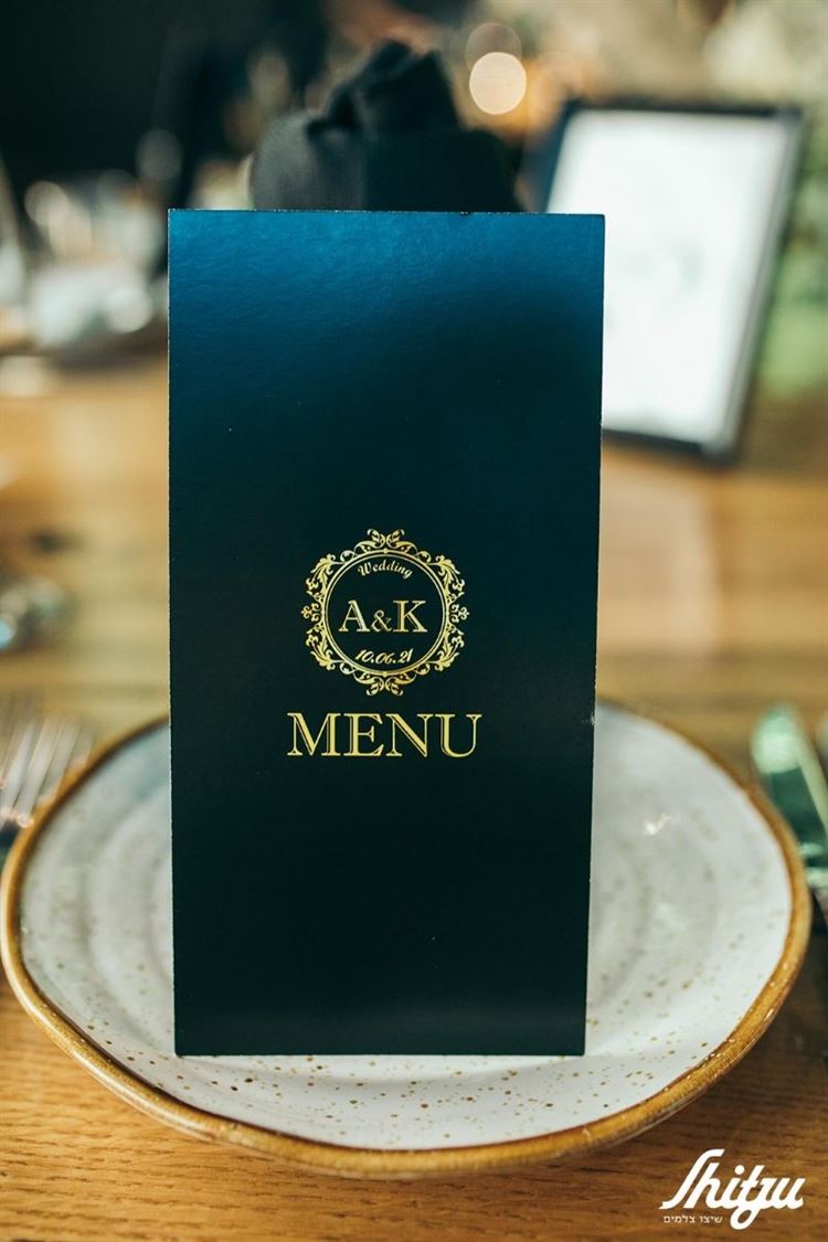 החתונה של קארין ואדיר (צילום: שיצו צלמים)