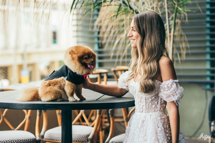 החתונה של קארין ואדיר (צילום: שיצו צלמים)