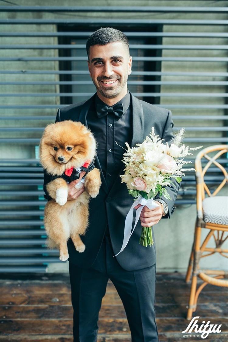 החתונה של קארין ואדיר (צילום: שיצו צלמים)