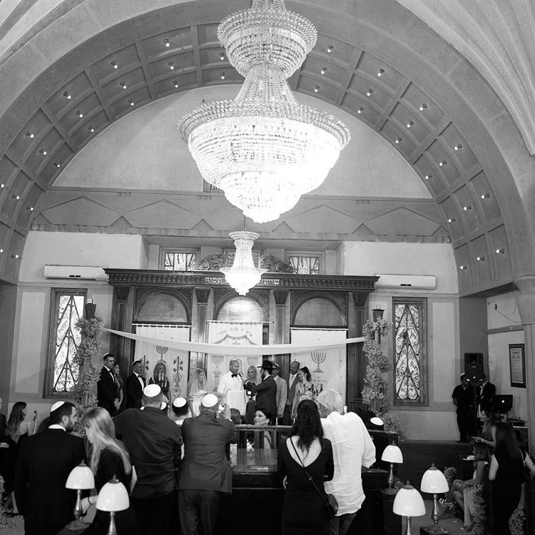 (צילום: רון קדמי)