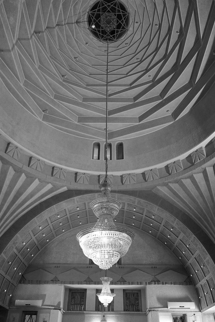 (צילום: רון קדמי)