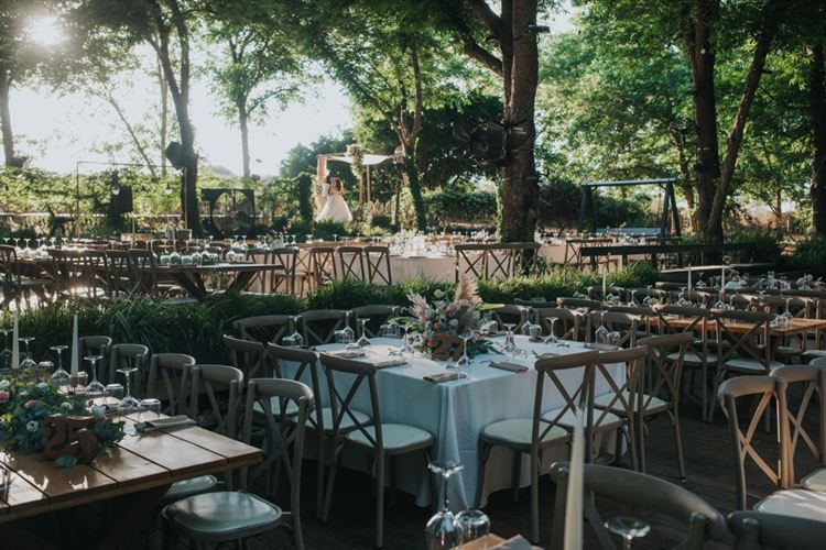 כל פרח במקום: כך נראית חתונה של ארכיטקטית 46