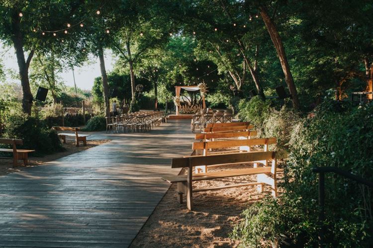 כל פרח במקום: כך נראית חתונה של ארכיטקטית 49