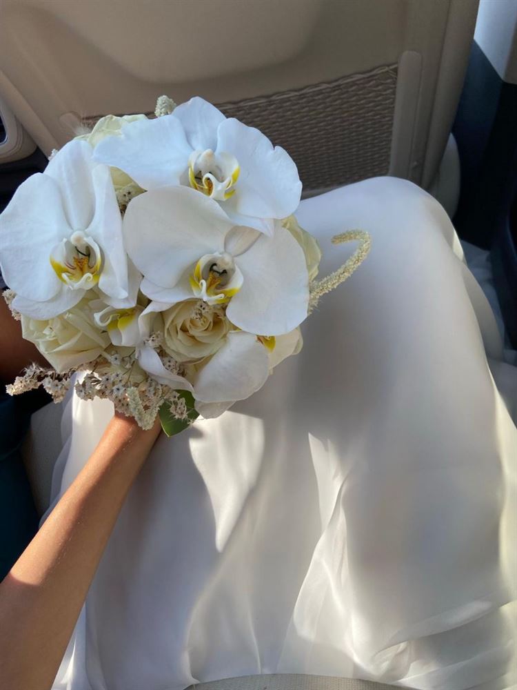 כבשה את קיסריה ואת תל אביב עם שמלות כלה שקלעו בול 16