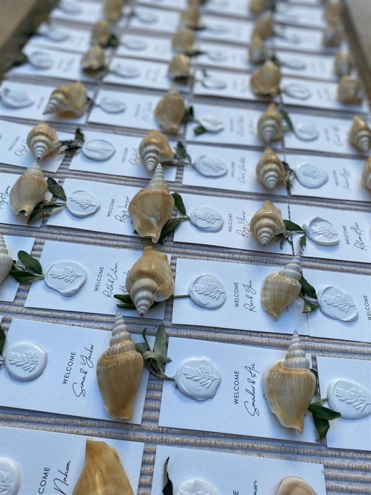 כבשה את קיסריה ואת תל אביב עם שמלות כלה שקלעו בול 24