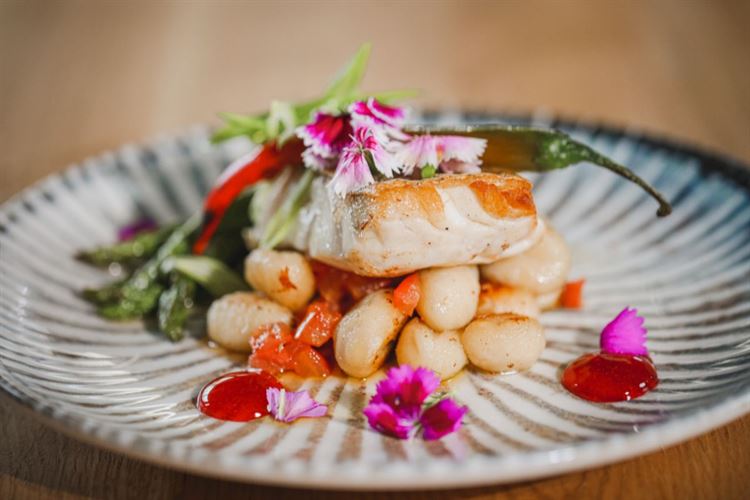 כאן כדי להטריף אתכם: קולקציית המנות של הרמוזו 5