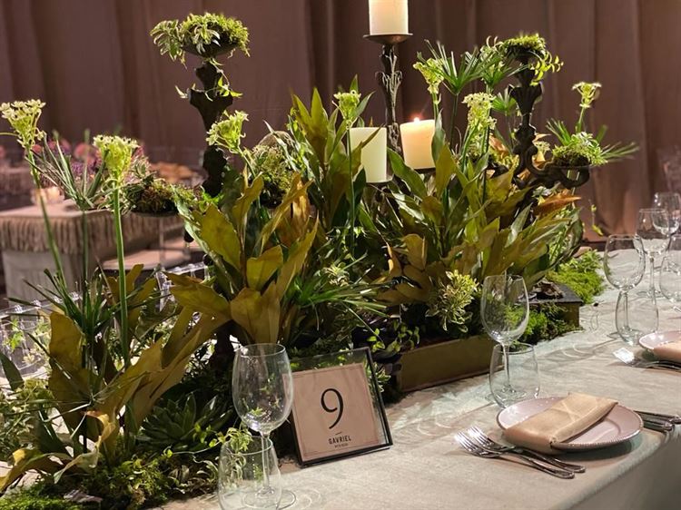 לחלום בגדול: הכירו את "גבריאל תרבות אירוח" 14