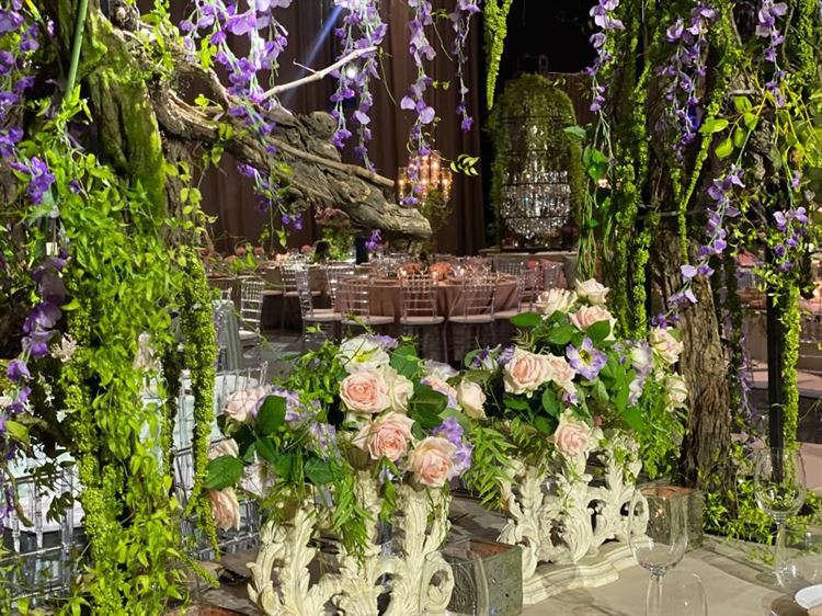 לחלום בגדול: הכירו את "גבריאל תרבות אירוח" 15