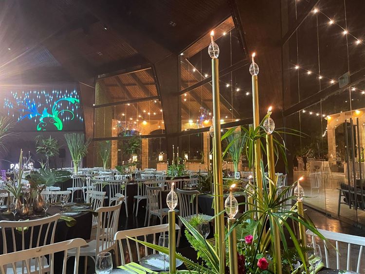 (צילום: וואלה! מזל טוב)