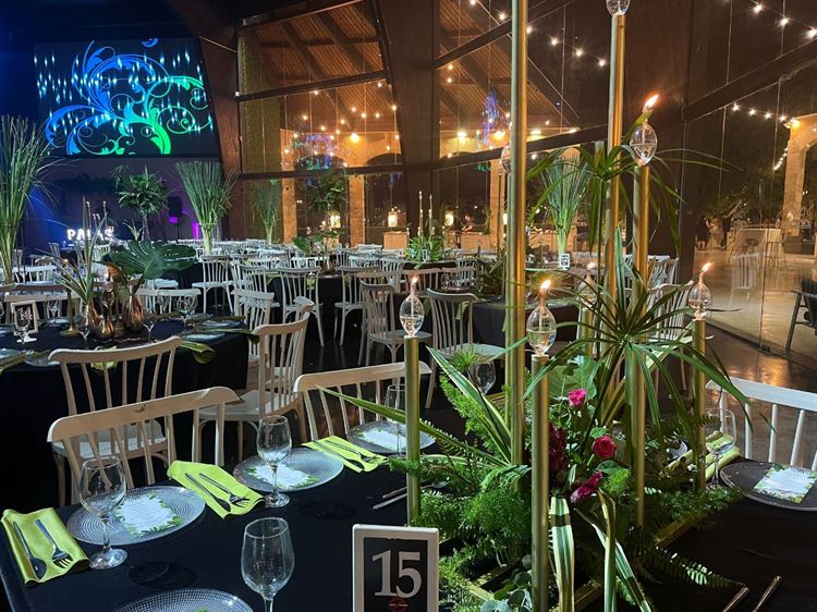 (צילום: וואלה! מזל טוב)