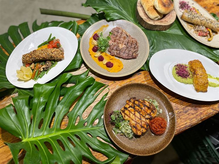 (צילום: וואלה! מזל טוב)