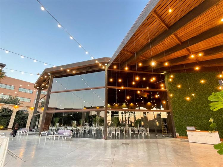 (צילום: וואלה! מזל טוב)