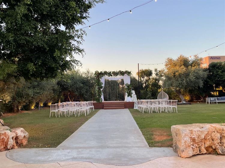 (צילום: וואלה! מזל טוב)