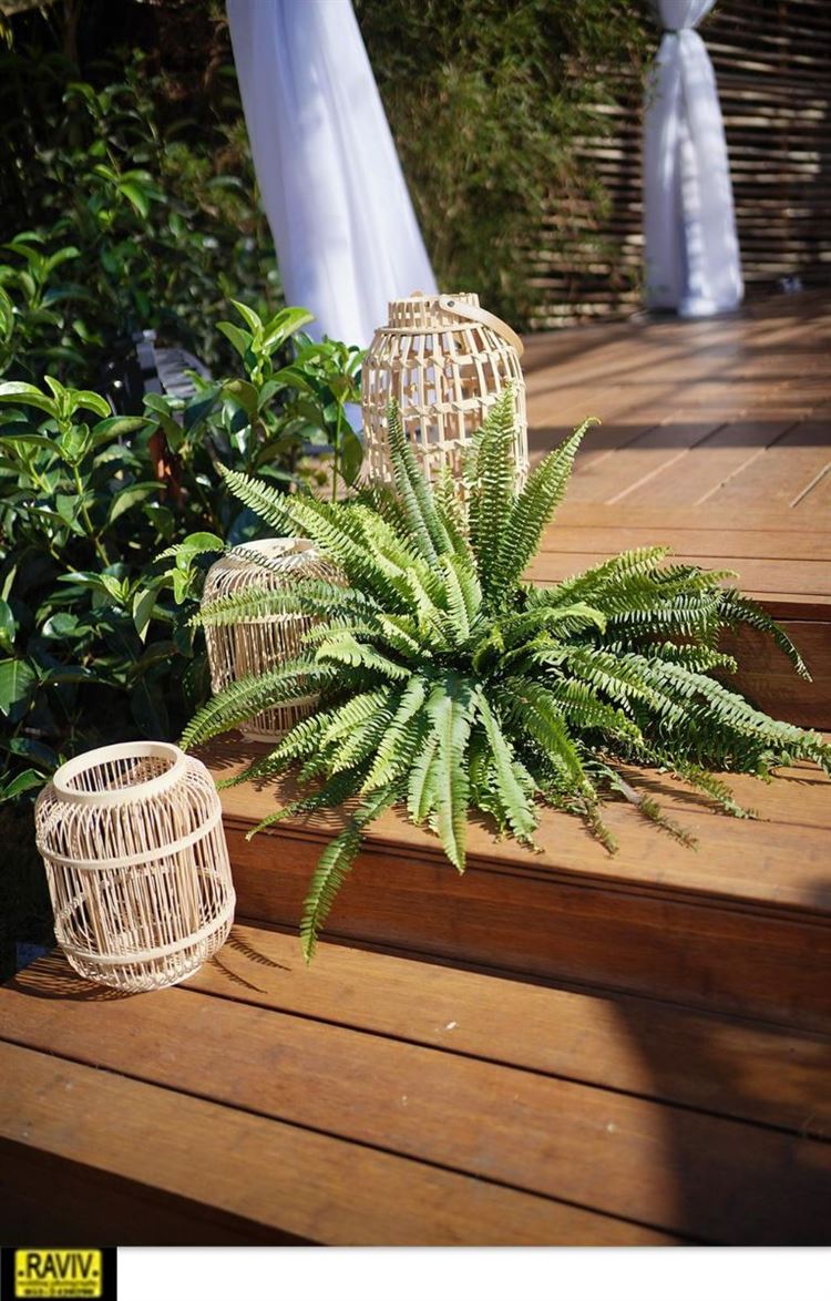 גן ואולם אירועים קאי (צילום: רביב צלמים)