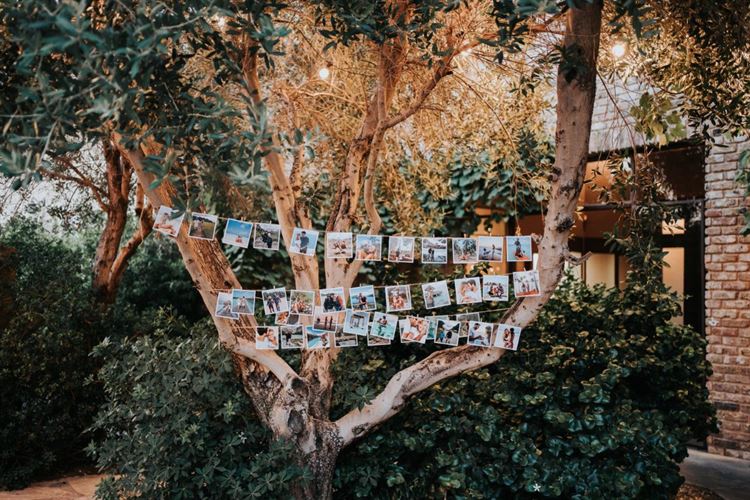 החתונה של מלי וירדן אלמוג (צילום: יוסף חורי)