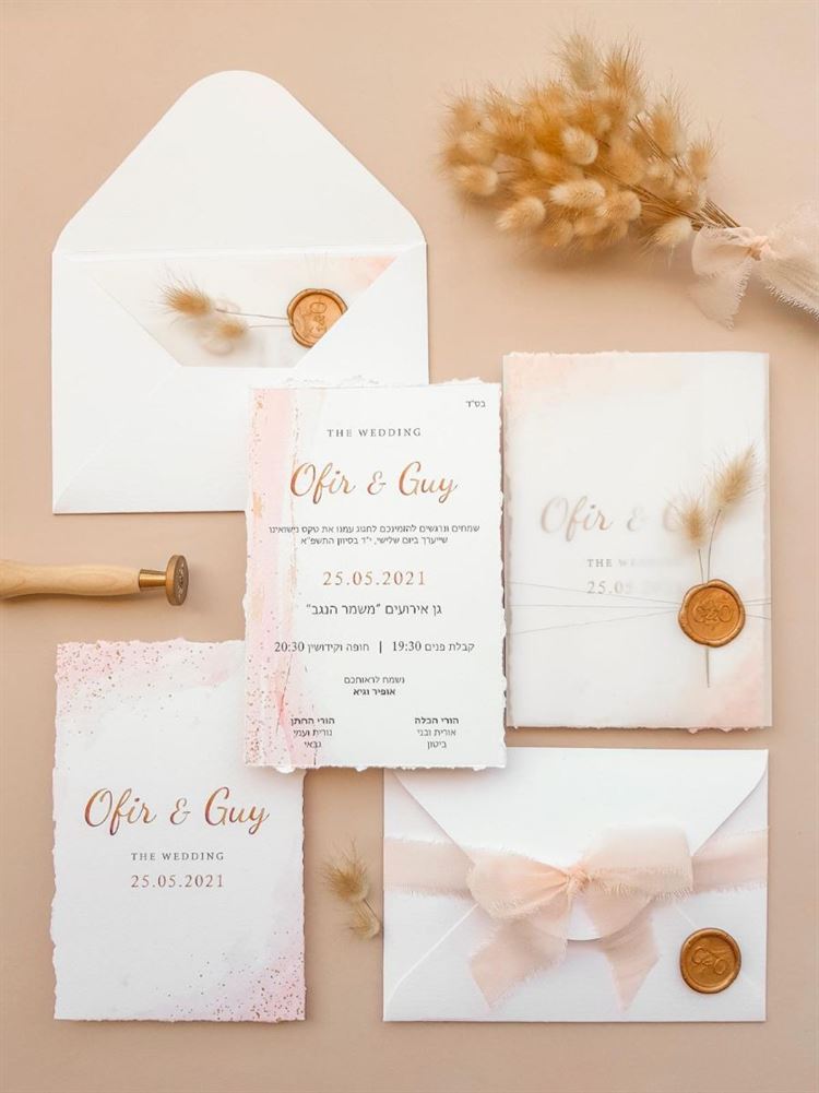 החתונה של אופיר ביטון וגיא גבאי (צילום: דוקו צלמים)