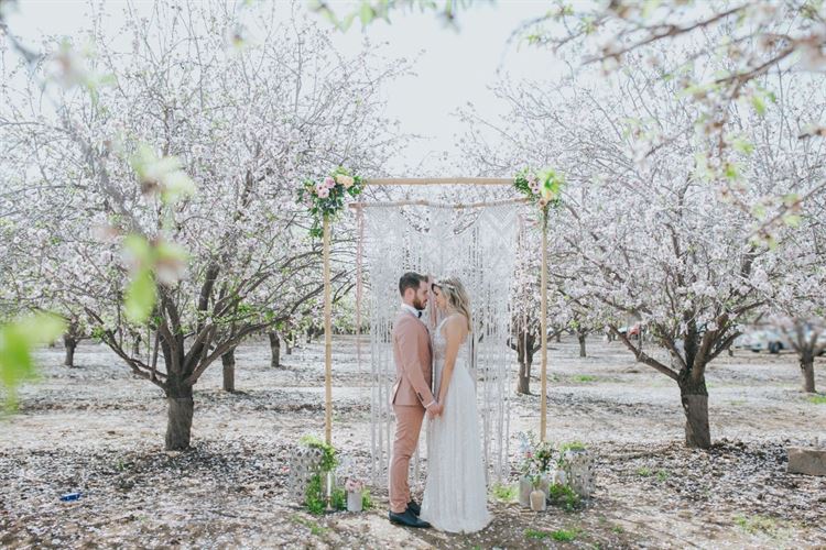 הקסם החורפי (צילום: עידן חסון)