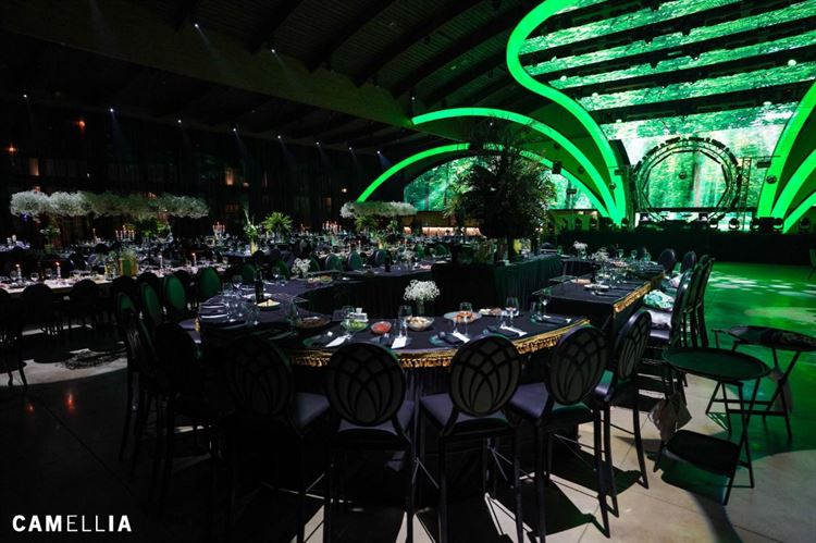 טרויה (צילום: קמליה)