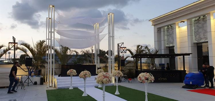 ממילא אשדוד (צילום: יחצ)