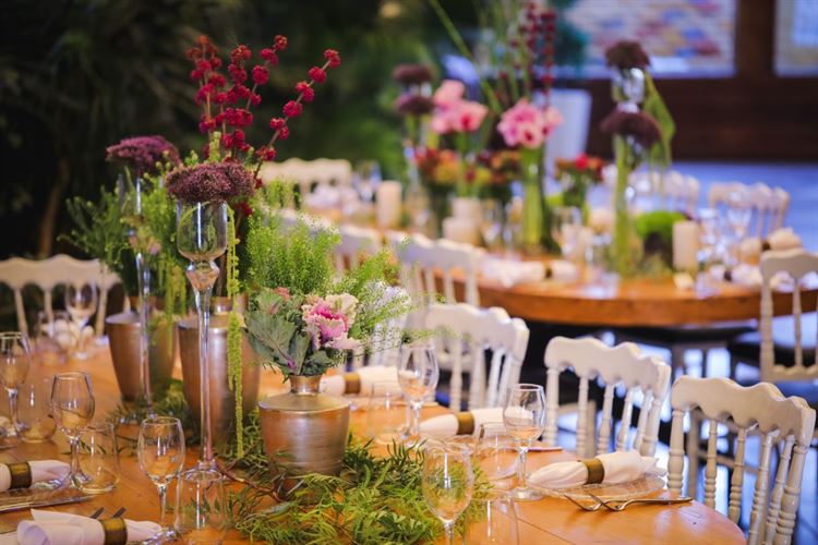 מתחם האירועים 'מפלים' (צילום: וואלה! מזל טוב)