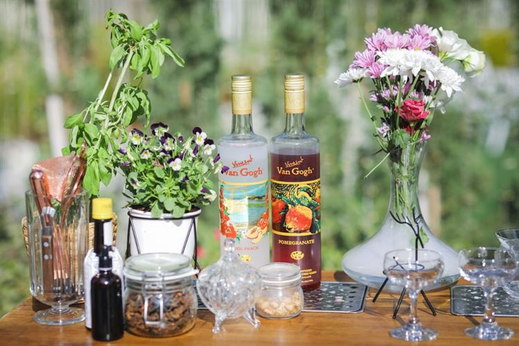 הפקת הסילבסטר של וואלה! מזל טוב (צילום: עידן כנפי)