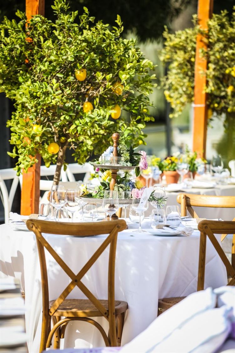 עיצוב גן האירועים חוות רונית (צילום: עדי כהן צדק)