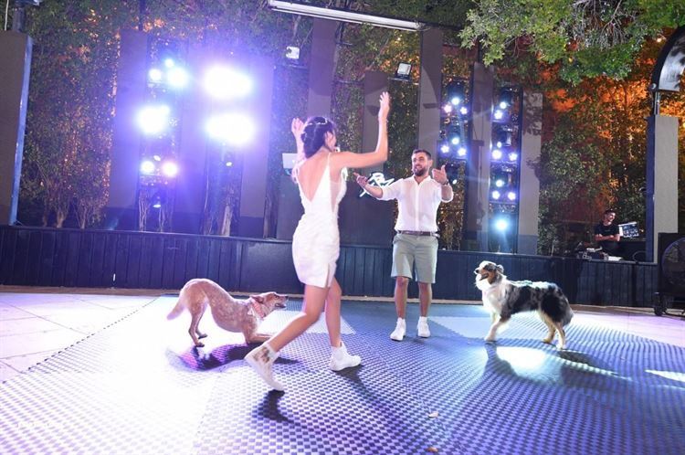 (צילום: אלירן לוק)