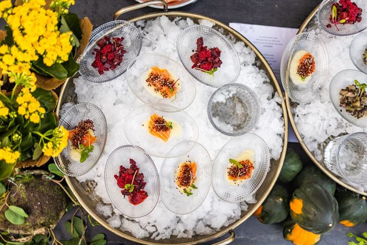 הצצה אל מתחם האירועים 