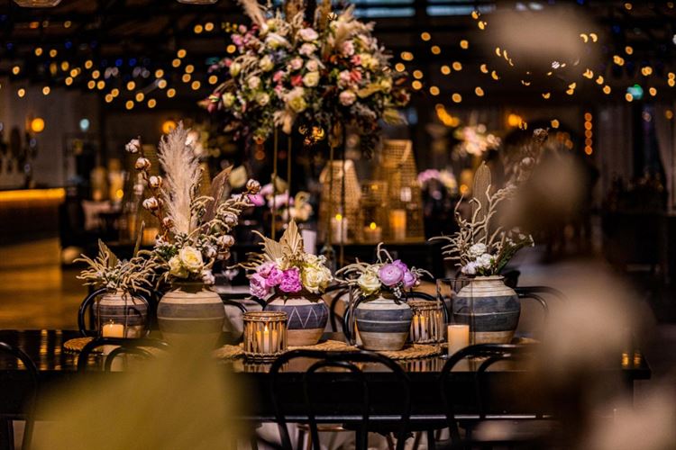 הצצה אל מתחם האירועים 