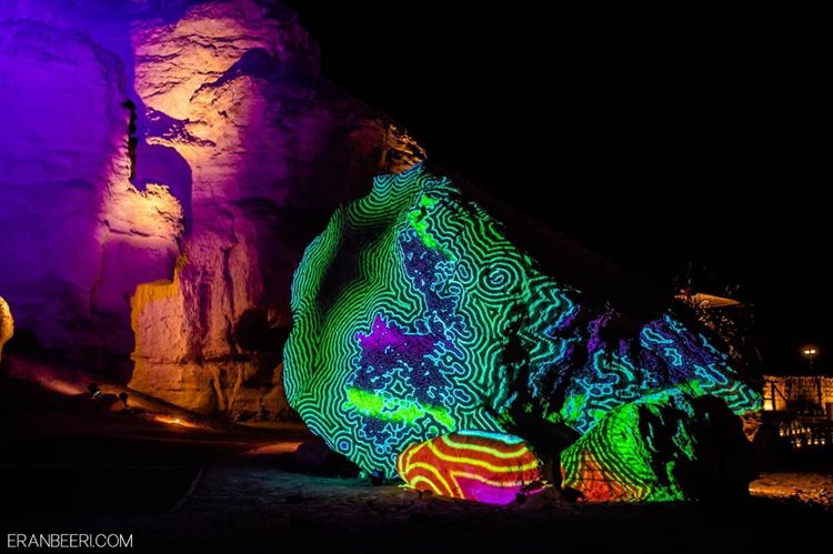 החתונה המדברית של נטע ושיר (צילום: ערן בארי)