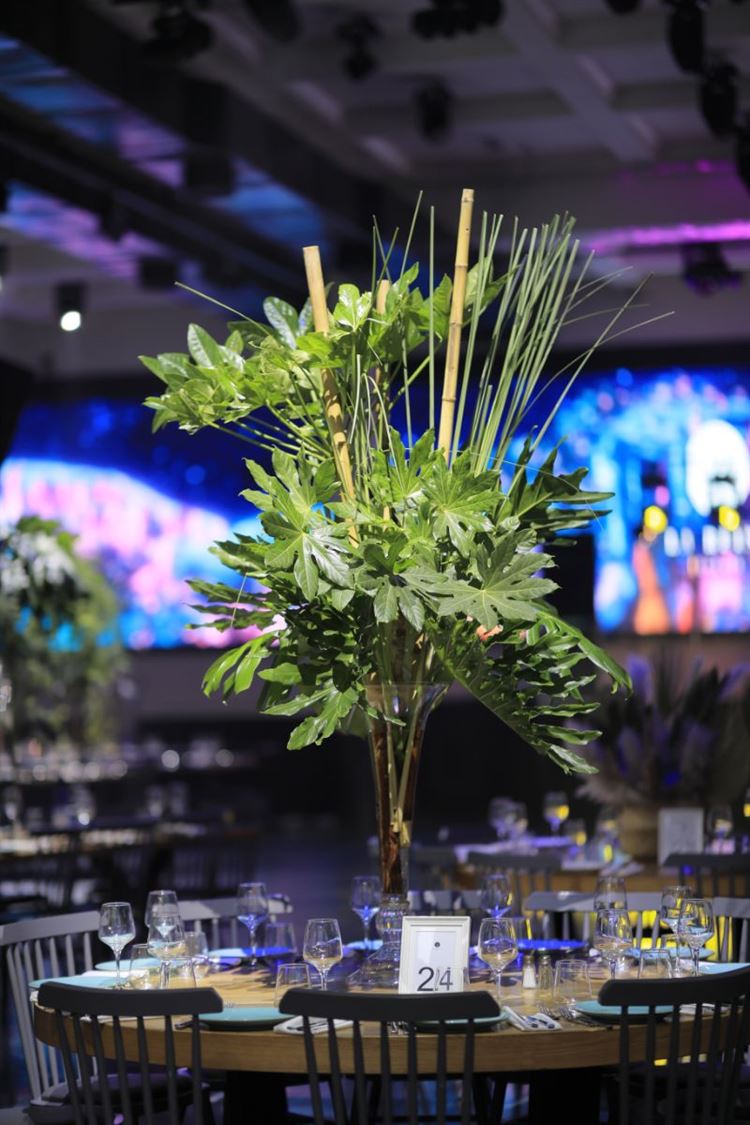 הצצה אל מתחם האירועים 