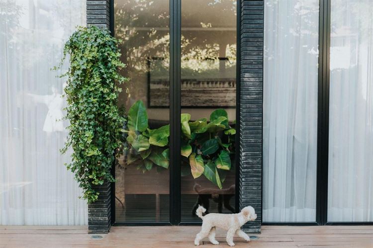 החתונה של שרון כהן ועמית לביא (צילום: people photography)