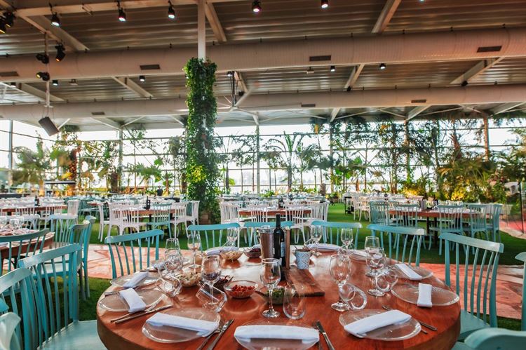 הצצה אל מתחם האירועים 'דוריה' (צילום: יחצ)