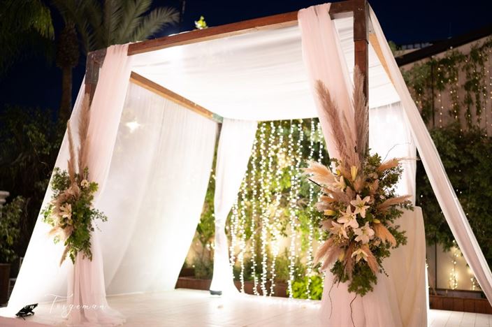 קבלת פנים וחופה אודאון #9