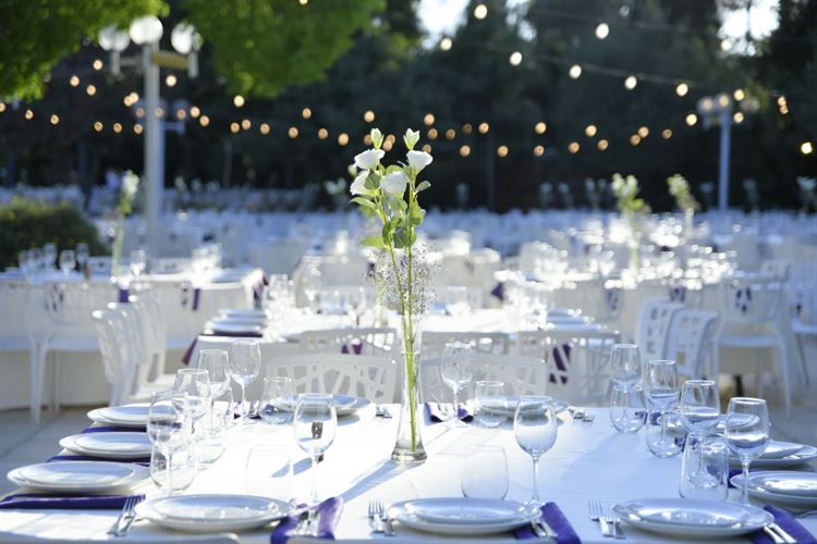 החתונה של שיר ועמרי (צילום: אסף דוד)