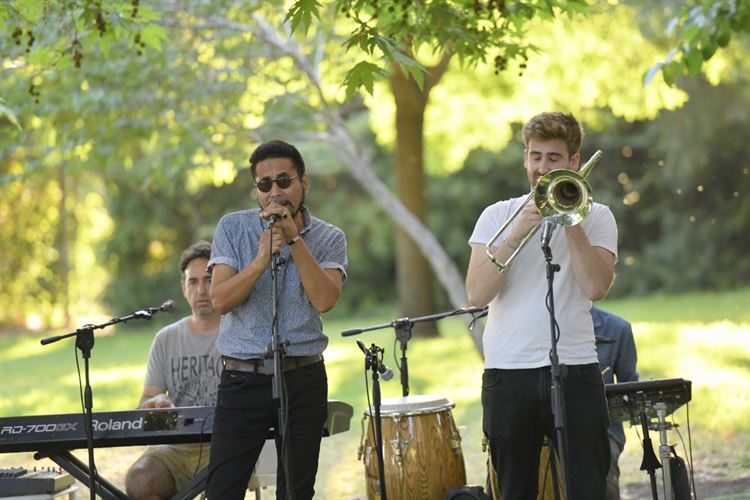 החתונה של שיר ועמרי (צילום: אסף דוד)