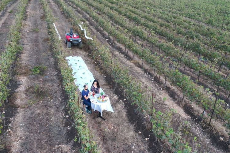 הצעת נישואים בכרם (צילום: פרטי)