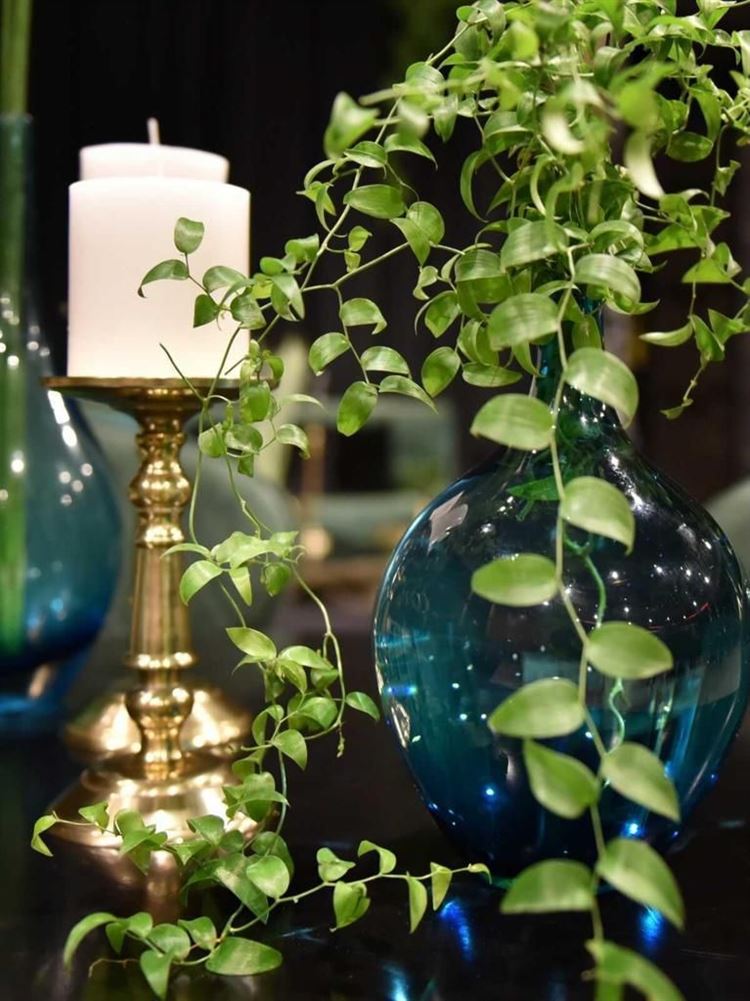 (צילום: מתחם האירועים 'אמארה')