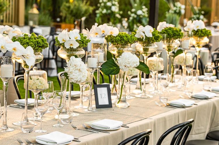 מתחם האירועים המעוצב חוות רונית (צילום: חיים אפריאט)