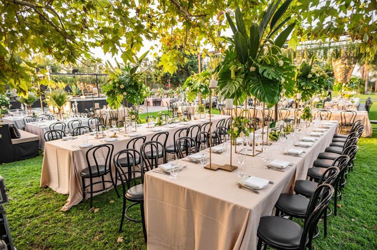 מתחם האירועים המעוצב חוות רונית (צילום: חיים אפריאט)